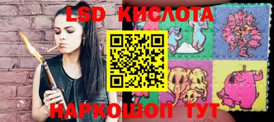 скорость Новозыбков