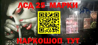 скорость Новозыбков