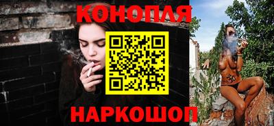 spice Новодвинск