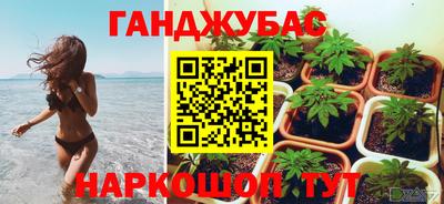 spice Новодвинск