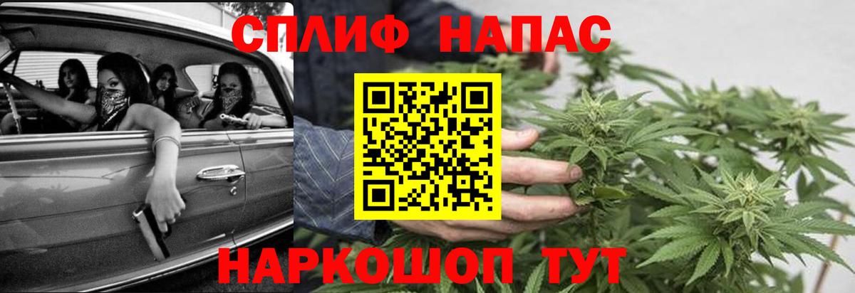 Бошки Шишки план Белебей